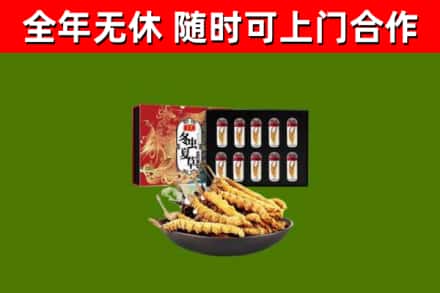 方城回收冬虫夏草价格